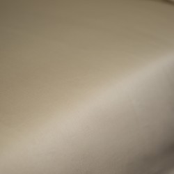 Padjapüür 53*63 cm beež