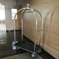 Kohvrikäru hõbedane, must vaip