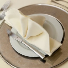 Kvaliteetsed salvrätikud restoranidele